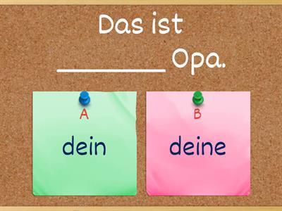 MEIN / MEINE / DEIN/ DEINE 