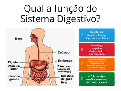 Funções do sistema digestivo
