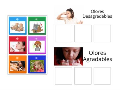 Sentido del Olfato  ¿Reconoce los olores agradables y desagradables según cada imagén?