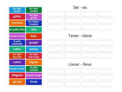 Popis osoby se slovesy ser, llevar, tener. Descripción de una persona con los verbos ser, llevar, tener.