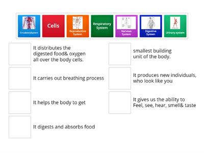  Body Systems