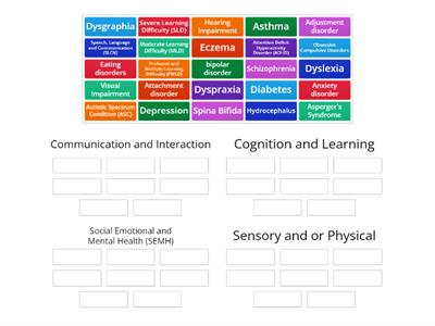 The Main Areas of Special Educational Needs