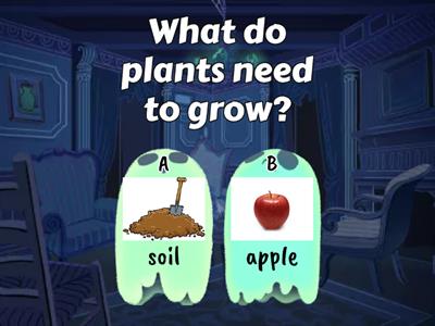 Plant needs & Plant parts