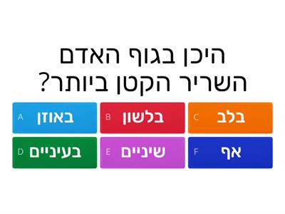 משחק שאלות אנטומיה