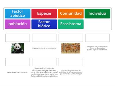 El nivel de organización ecosistémico. La especie, la población y la comunidad.