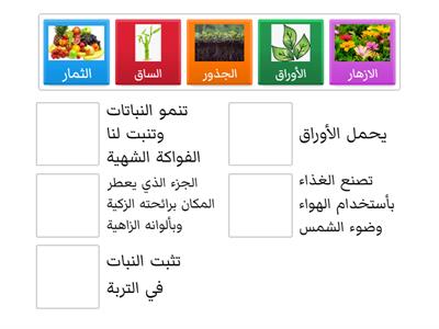 ميز مابين أجزاء النباتات من خلال توصيلهم ببعض