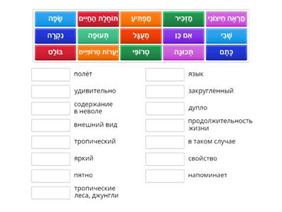 אוצר מילים טוקניים עם תרגום לרוסית עבור קבוצת טרזן