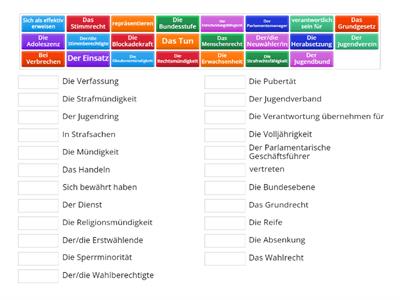 Wahlalter in Deutschland -  Begriffe