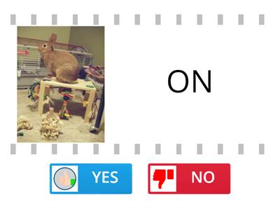 ON, IN,UNDER PREPOSITIONS - YES OR NO
