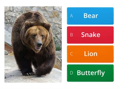  Animals Quiz by Tanja 