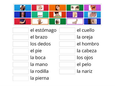 Parts of the body Spanish