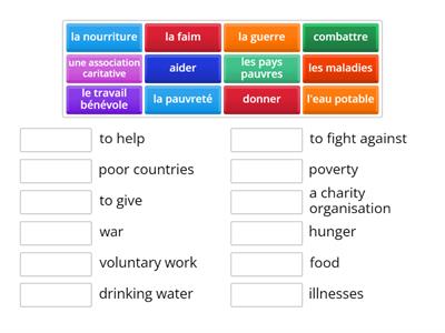 GCSE French Charity Vocabulary