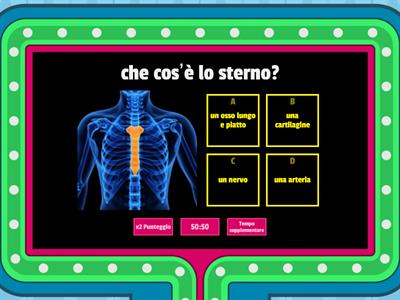 Quiz sullo sterno