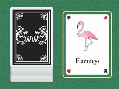 Zoo Bingo Cards