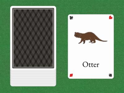 Zoo Bingo Cards