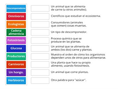 Ecosistemas Vocabulario