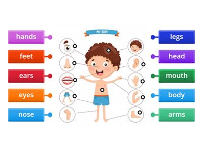 Body Parts vocabulary