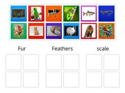 Sorting animals based on their body covering