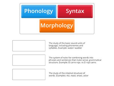 Phonology, Morphology, and Syntax