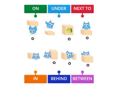 Owl's Prepositions of place