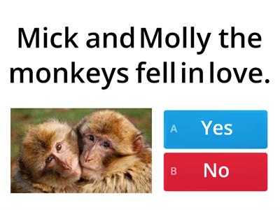 The Monkeys' Wedding