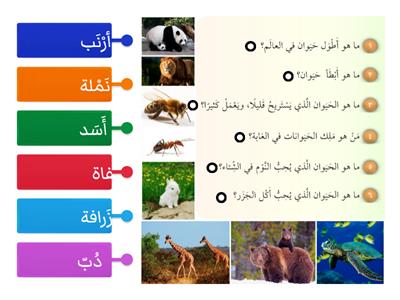 اِخْتَر الجَواب الصَّحيح للأَسْئلة الآتِية  Arapça 8