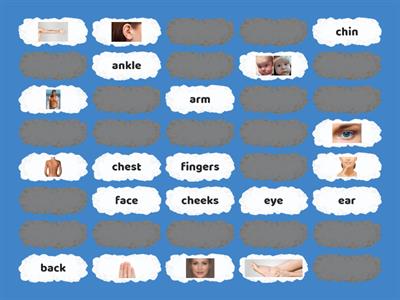 Body parts _ pairs