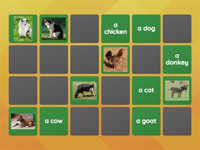 14a Farm & pet animals (from Racing to English)