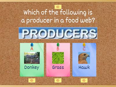 Understanding Food Webs: Producers and Consumers