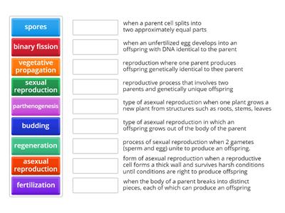 Modes of Reproduction