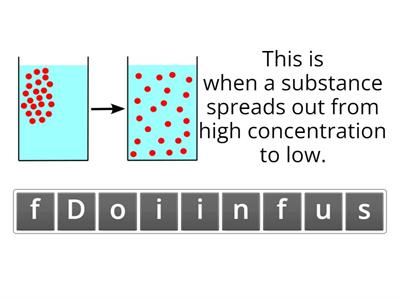 Diffusion in Gas Exchange