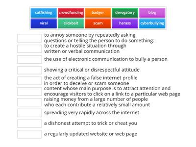 Social media and internet vocab b2