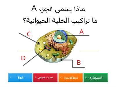 اجزاء الخلية الحيوانية