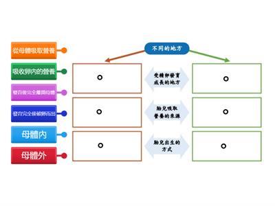 LKW -比較胎生及卵生動物繁殖的不同之處