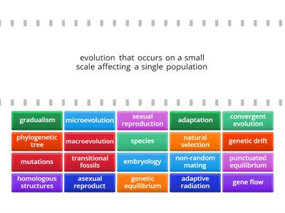 Biological Evolution EOC Review
