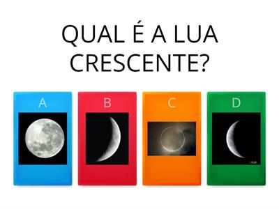 QUIZ FASES DA LUA - Ciências 