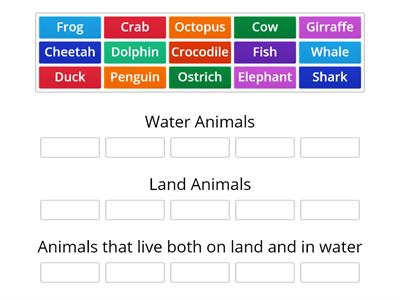 Land and Water animals 