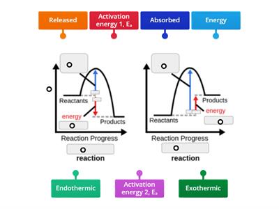 Exothermic & Endothermic Energy Profiles