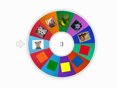 Revision pets, colours