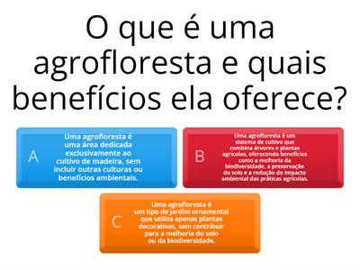 Agroflorestas