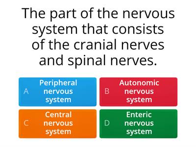 Quiz 1 for the motor system