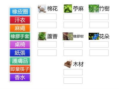 Copy of 三年級常識：3.2冊 第4課《植物與生活》(植物製成的生活用品)