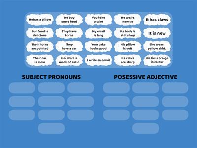 SUBJECT PRONOUNS AND POSESSIVE ADJECTIVE