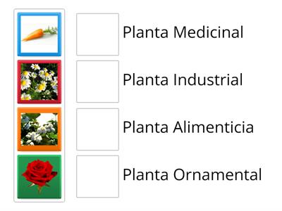 Plantas por su utilidad 