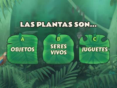 LAS PLANTAS