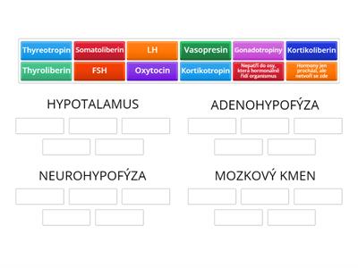 Hormonální řízení organismu