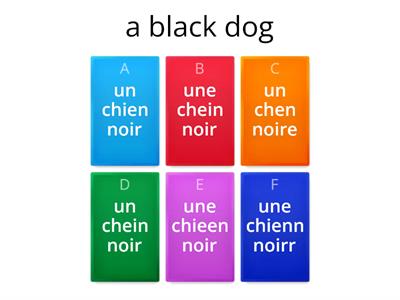 S1 French pets and colours