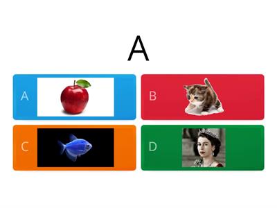 Alphabet Quiz