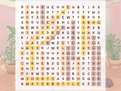 Review 3-4 Word Search