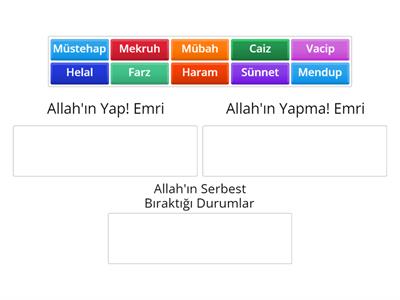 Efal-i Mükellefin Sınıflama